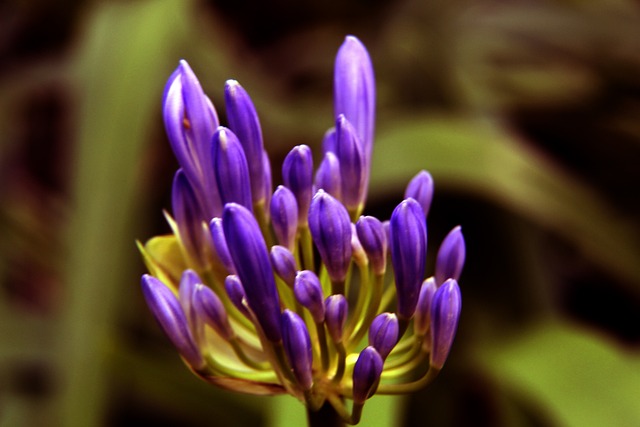 把热爱融入 把热爱融入