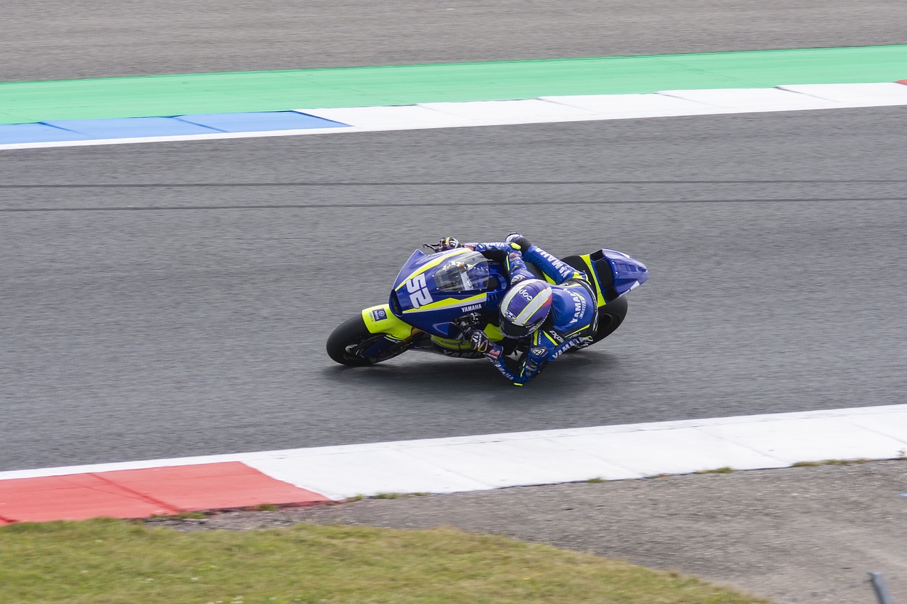 王楚钦的飞 王楚钦的飞