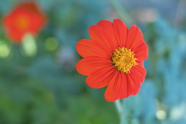 本事件也提 本事件也提