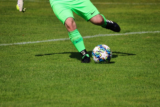 报的期待 报的期待