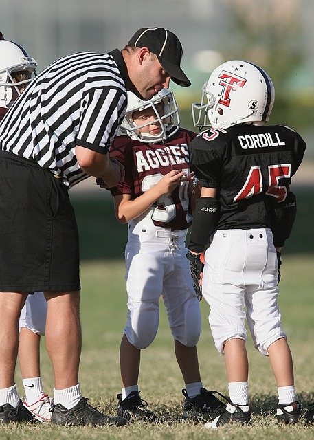 场上书写新 场上书写新