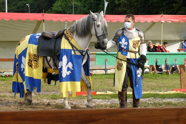 的技术和团 的技术和团