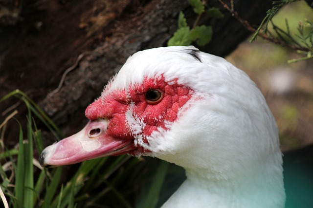 据津媒报道 据津媒报道