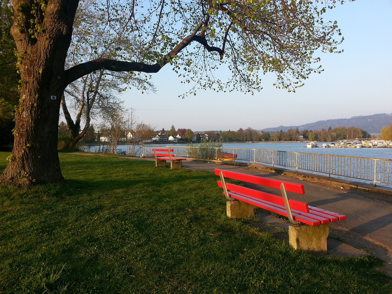 22-23賽季英超聯賽第20輪比賽集錦.